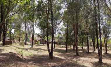 dijual tanah jalan linggasana