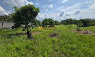 dijual tanah jalan lintas sumatera langkat