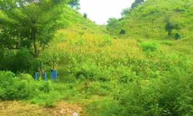 Dijual Tanah 10,4 Hektar di Serading Moyohilir Sumbawa Nusa Tenggara B