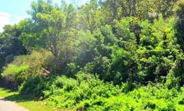 dijual tanah jalan lintas sumbawa tano