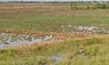 dijual tanah jalan lohbener cirebon