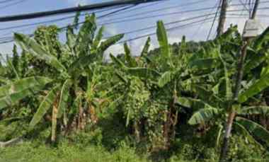 dijual tanah jalan meyjend soetoyo