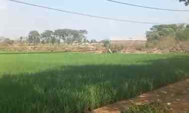 dijual tanah jalan pantura loarang