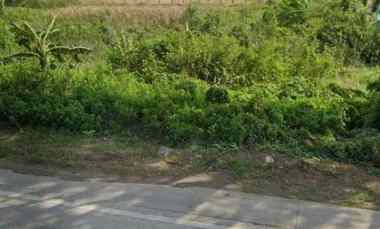 dijual tanah jalan pantura losarang