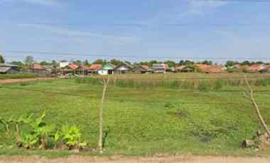 Tanah Strategis Pinggir Jalan Pantura Pamanukan Cocok untuk Gudang