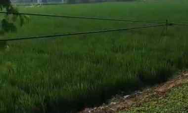 dijual tanah jalan pertamina babelan