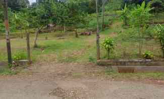 4000 m2 Tanah Kebun Strategis Pinggir Jalan Area Situ Ciburuy, Padalar