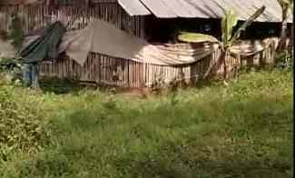 2,5 Ha Tanah Kebun Murah Bisa untuk Peternakan Ayam, Cipatat, Bandung