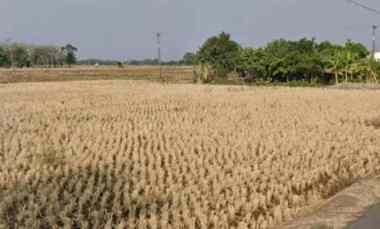 dijual tanah jalan pu desa rancahan