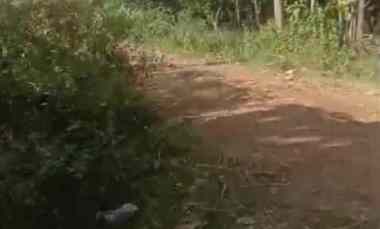 dijual tanah jalan rawa bolang