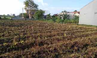 Tanah Kavling Area Margajaya Bogor dekat Kampus IPB Dramaga
