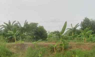 dijual tanah jalan raya kali cbl