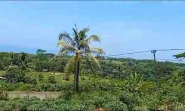 dijual tanah jalan raya pantai cijayana