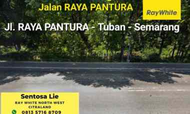 dijual tanah jalan raya pantura tuban