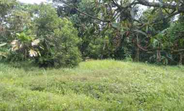 dijual tanah jalan raya purwadadi