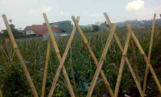 dijual tanah jalan raya tangkuban