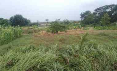 dijual tanah jalan raya tirtamulya