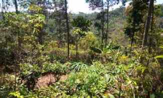2800 m2 Tanah Atas Bukit Cipada Girang, Cikalong Wetan, Bandung Barat