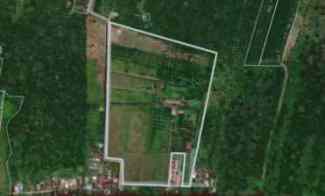 Dijual Tanah Mega Timur, Parit Tempayan Kabupaten Kubu Raya Kalbar