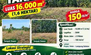 dijual tanah jalan srimulyo kogop natar
