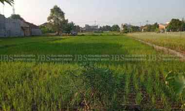 Dijual Tanah di Jalan Sukarela Timur - Daerah Laut Dendang