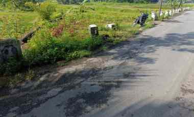 dijual tanah jalan sukasari kabupaten