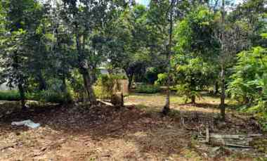 Dijual Tanah Turun Drastis, Luas 5070 m2 Area Bodetabek PR1899