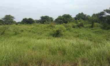 dijual tanah jalan ujungjaya cikamurang