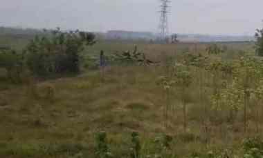 dijual tanah jalan warung ampel