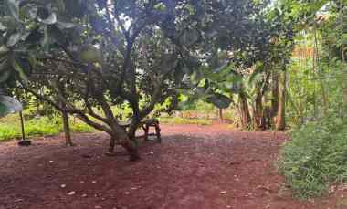 dijual tanah jalan wijaya kusuma