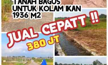 Dijual Cepat 1936m2 Janti Klaten 380jt Bagus untuk Kolam Ikan