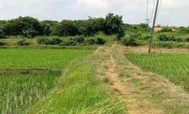 dijual tanah jaringao