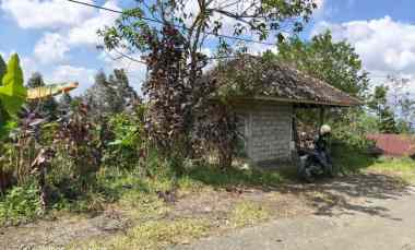 dijual tanah jatiluwih tabanan bali