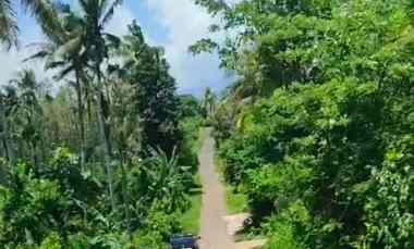 dijual tanah jembrana bali