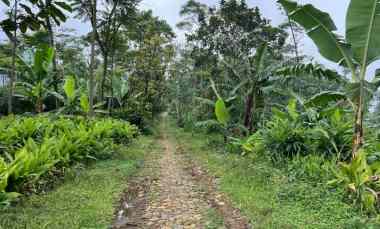 dijual tanah jenawi karanganyar
