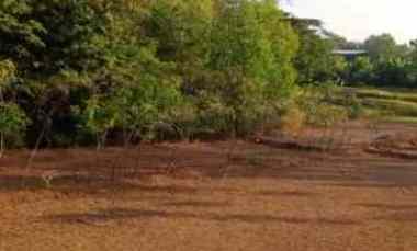dijual tanah jeruk sawit