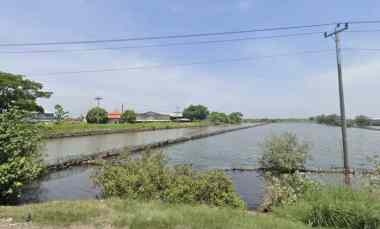 dijual tanah ji raya arteri kaliwungu