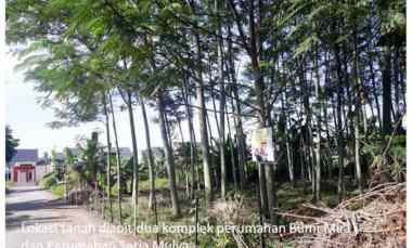 dijual tanah jl bangau sakti