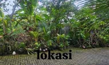 dijual tanah jl beringin