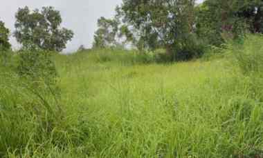 dijual tanah jl bojonegara desa