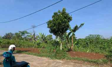 dijual tanah jl boma lembang pamulihan