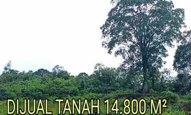 dijual tanah jl bukum sikeben bandar