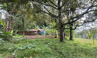 dijual tanah jl cibalung cijeruk