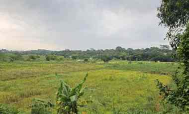 Dijual Kavling Cikampek 110 X 460 meter Jalan 3 Mobil di jl. Cikampek
