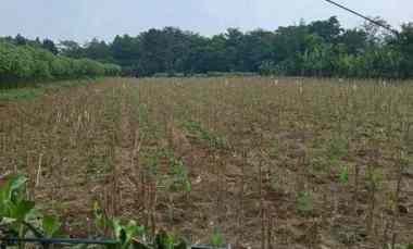 dijual tanah jl cimahpar