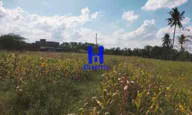 dijual tanah jl danamon simp jl glugur