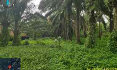 dijual tanah jl desa pangkalan benteng