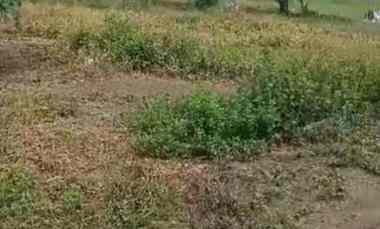 dijual tanah jl hakim