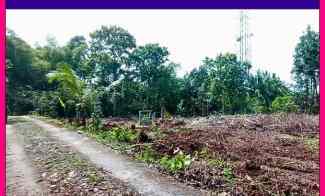 Dekat Pintu Tol Sentolo Layak Investasi Tanah Kulon Progo Jogja