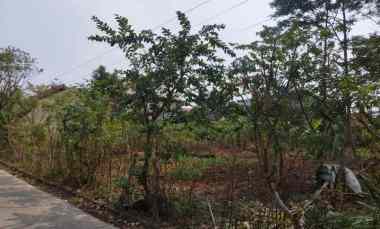 dijual tanah jl kesadaran rt 001 rw 01